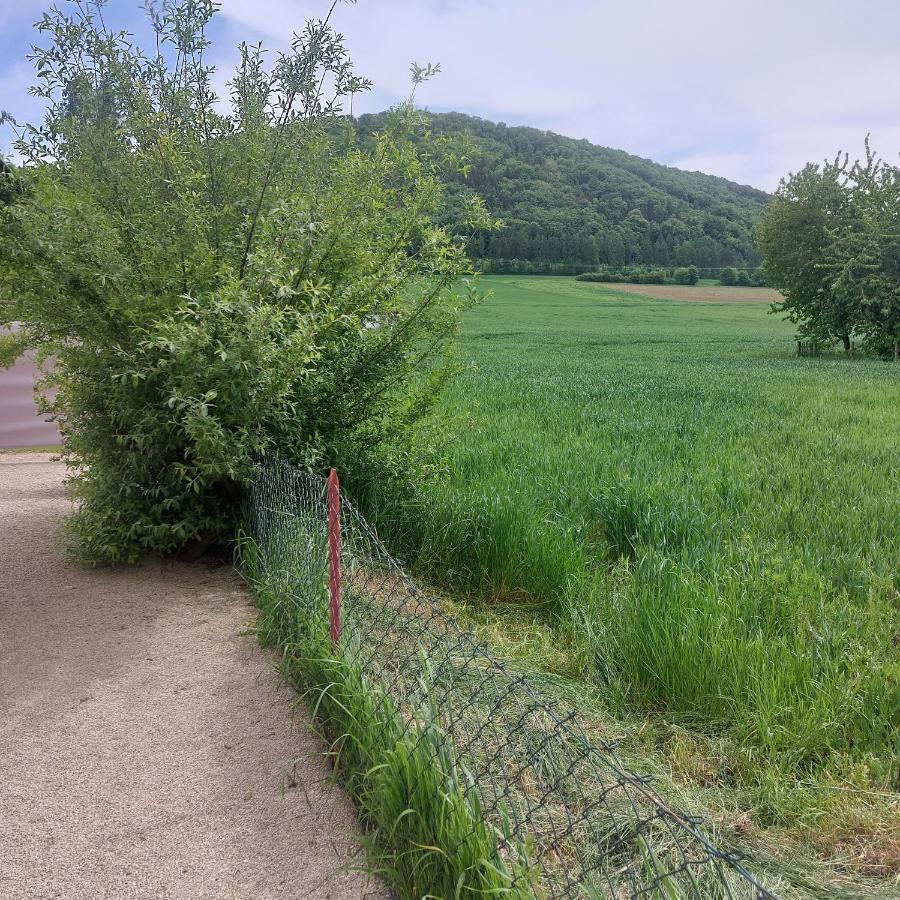 Ferienwohnung Rudat Treuchtlingen Dış mekan fotoğraf